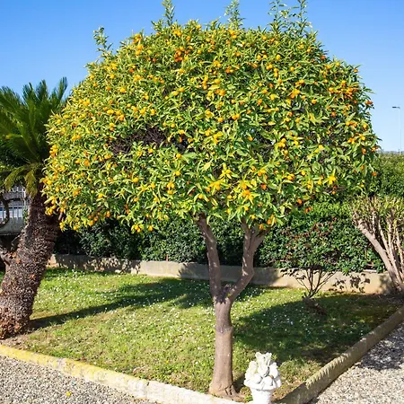 600 Meters From The Sea - Private Courtyard And Parking * Diano Marina